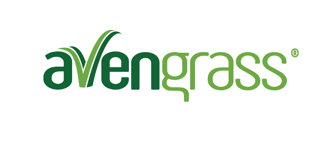 avengrass